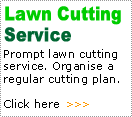 Lawn Cutting Service